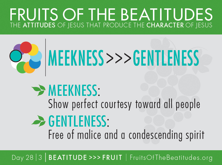 FRUITS OF THE BEATITUDES | MEEKNESS >>> GENTLENESS (28-3)