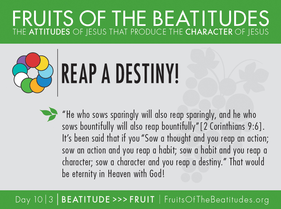 FRUITS OF THE BEATITUDES | REAP A DESTINY! (10-3)