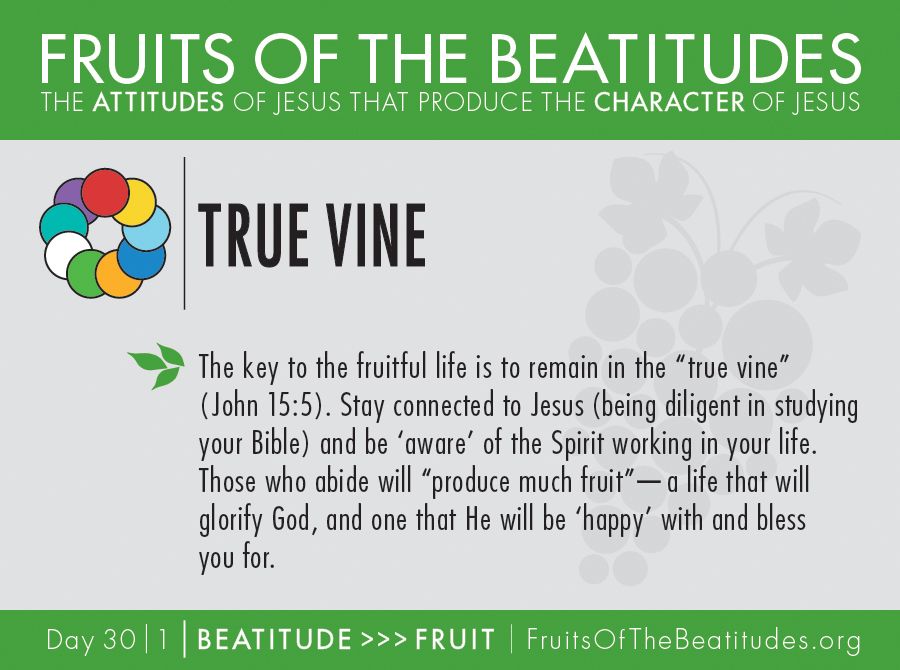 FRUITS OF THE BEATITUDES | TRUE VINE (30-1)