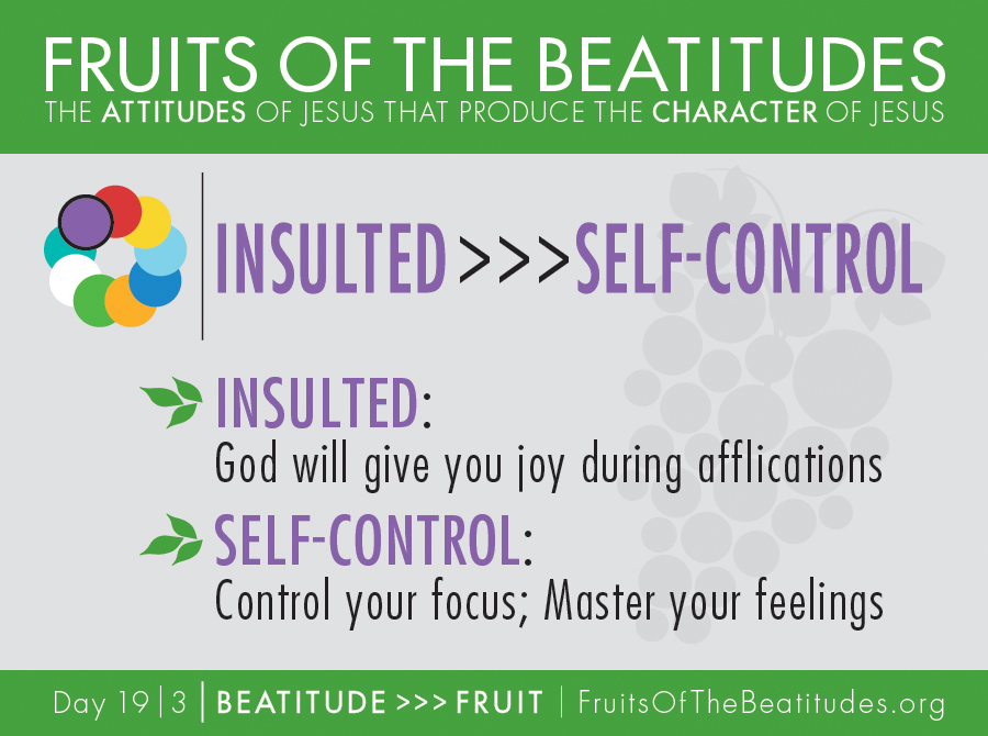 FRUITS OF THE BEATITUDES | INSULTED >>> SELF-CONTROL (19-3)