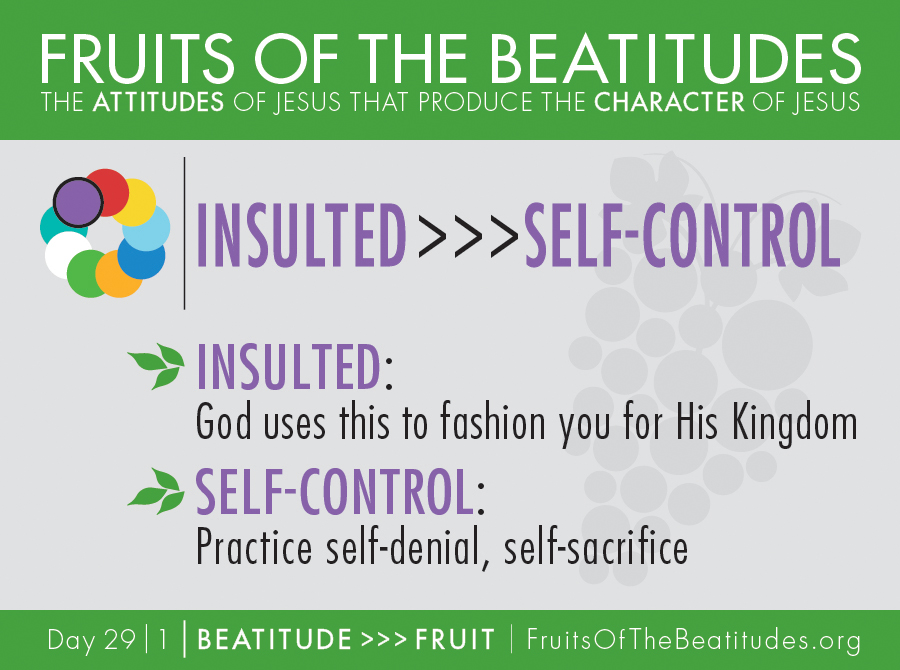 FRUITS OF THE BEATITUDES | INSULTED >>> SELF-CONTROL (29-1)