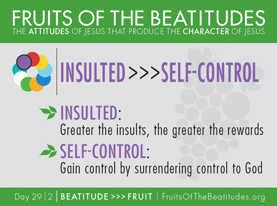 FRUITS OF THE BEATITUDES | INSULTED >>> SELF-CONTROL (29-2)