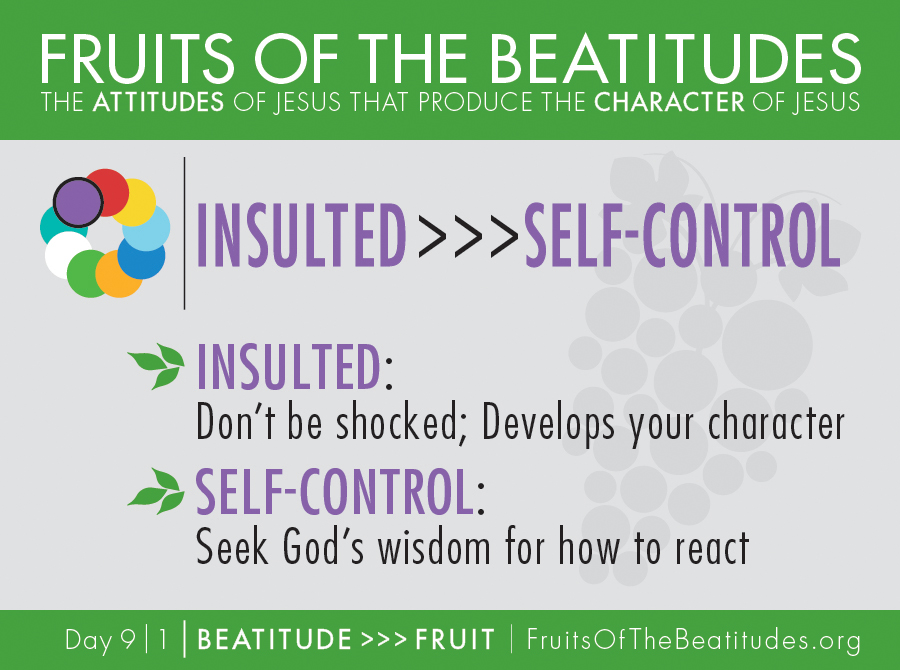 FRUITS OF THE BEATITUDES | INSULTED >>> SELF-CONTROL (9-1)