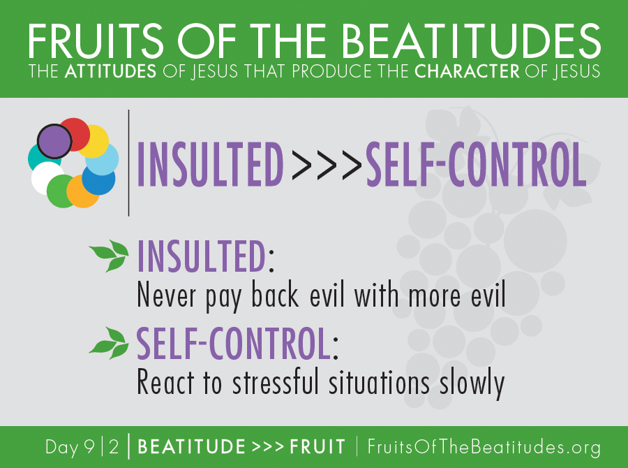 FRUITS OF THE BEATITUDES | INSULTED >>> SELF-CONTROL (9-2)