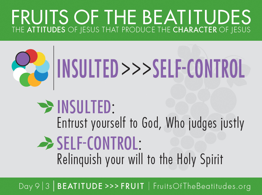 FRUITS OF THE BEATITUDES | INSULTED >>> SELF-CONTROL (9-3)