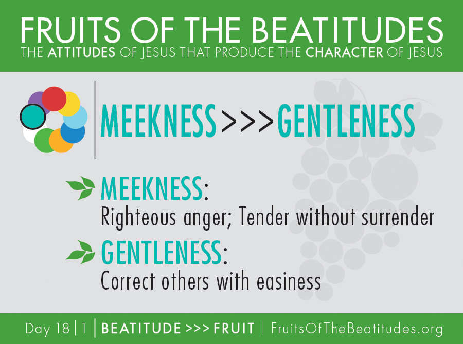 FRUITS OF THE BEATITUDES | MEEKNESS >>> GENTLENESS (18-1)