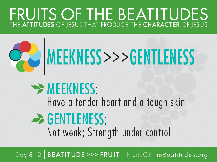 FRUITS OF THE BEATITUDES | MEEKNESS >>> GENTLENESS (8-2)