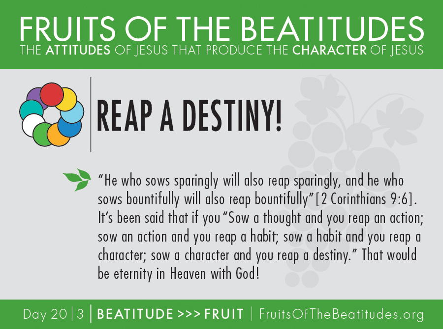 FRUITS OF THE BEATITUDES | REAP A DESTINY! (20-3)